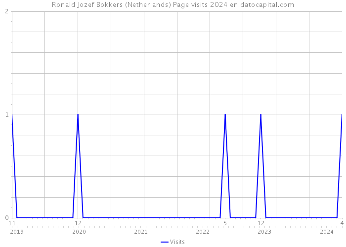Ronald Jozef Bokkers (Netherlands) Page visits 2024 