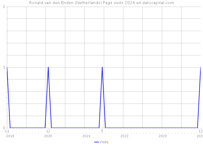 Ronald van den Enden (Netherlands) Page visits 2024 