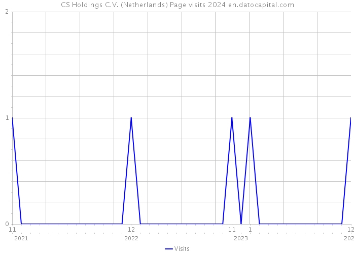 CS Holdings C.V. (Netherlands) Page visits 2024 