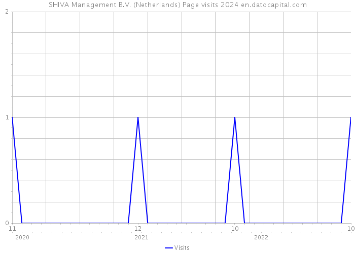 SHIVA Management B.V. (Netherlands) Page visits 2024 