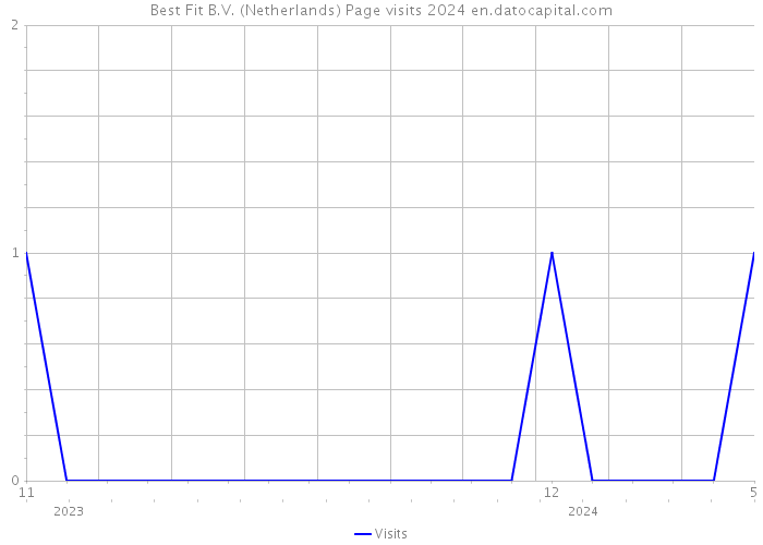 Best Fit B.V. (Netherlands) Page visits 2024 