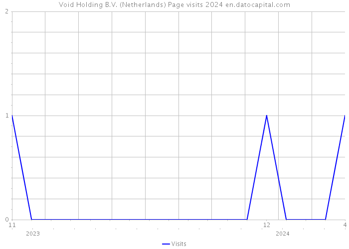 Void Holding B.V. (Netherlands) Page visits 2024 