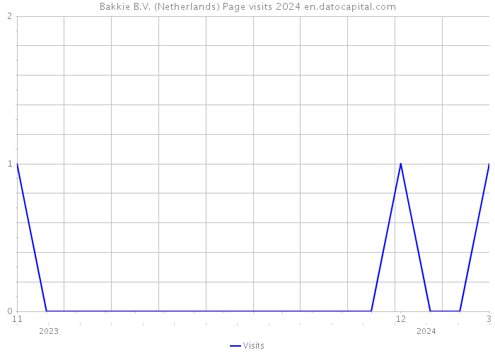 Bakkie B.V. (Netherlands) Page visits 2024 