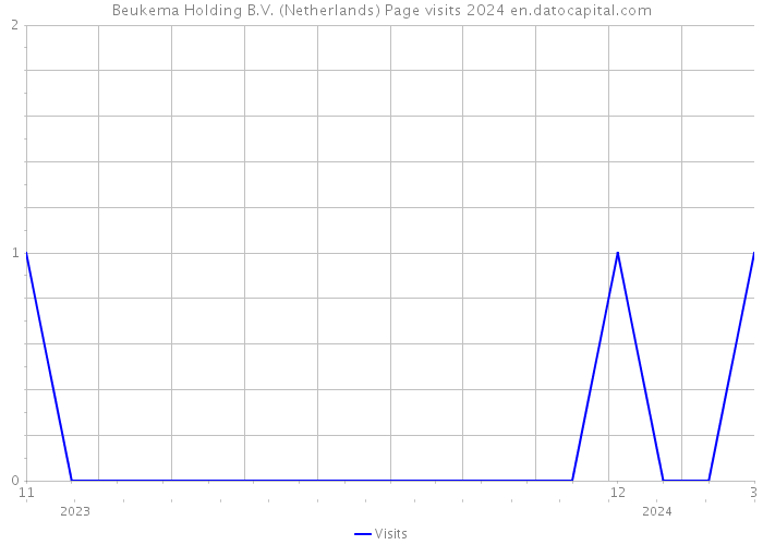 Beukema Holding B.V. (Netherlands) Page visits 2024 
