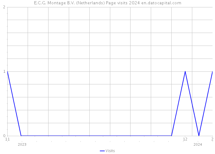 E.C.G. Montage B.V. (Netherlands) Page visits 2024 