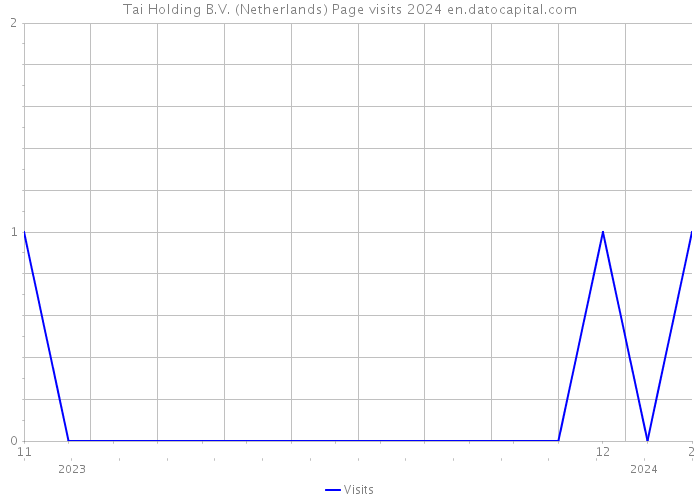 Tai Holding B.V. (Netherlands) Page visits 2024 