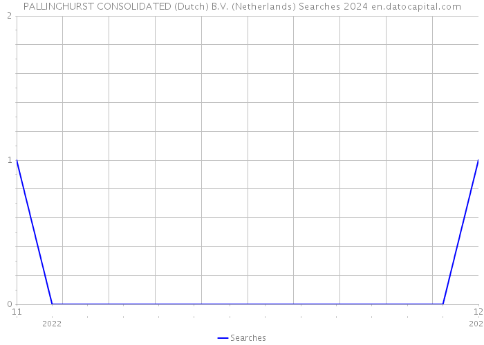 PALLINGHURST CONSOLIDATED (Dutch) B.V. (Netherlands) Searches 2024 