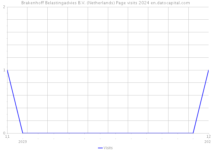 Brakenhoff Belastingadvies B.V. (Netherlands) Page visits 2024 