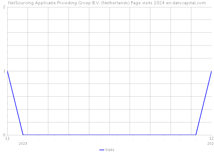 NetSourcing Applicatie Providing Groep B.V. (Netherlands) Page visits 2024 
