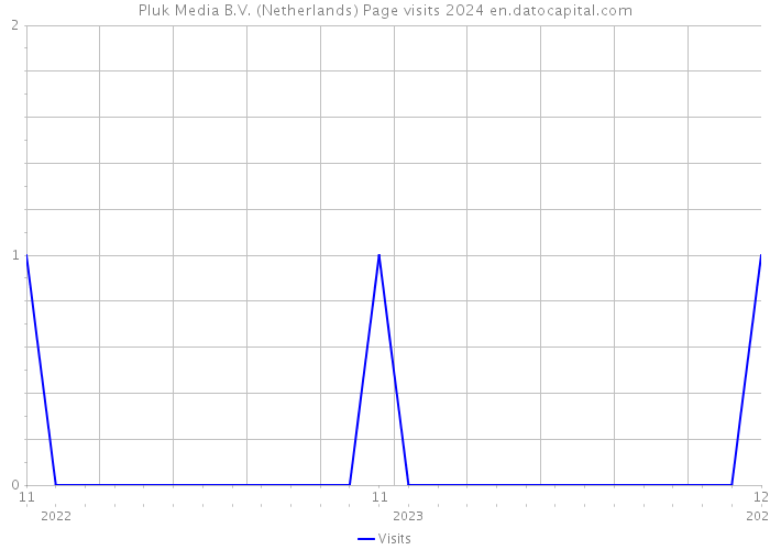 Pluk Media B.V. (Netherlands) Page visits 2024 