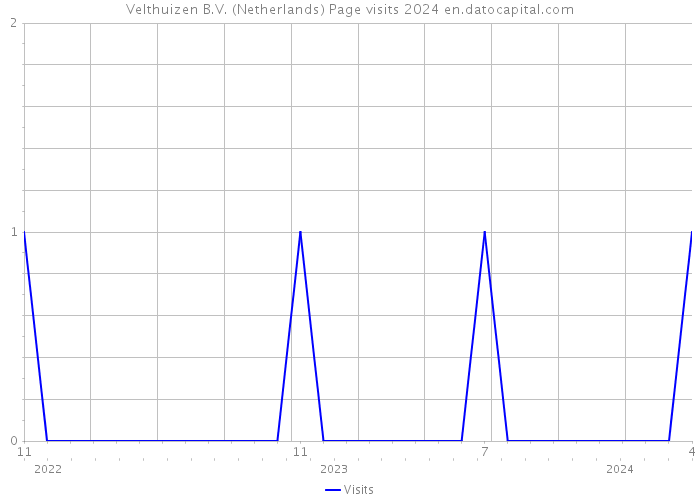 Velthuizen B.V. (Netherlands) Page visits 2024 