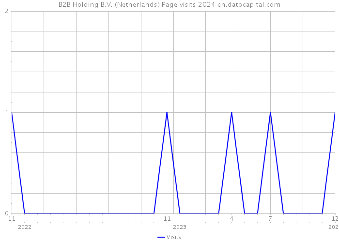 B2B Holding B.V. (Netherlands) Page visits 2024 