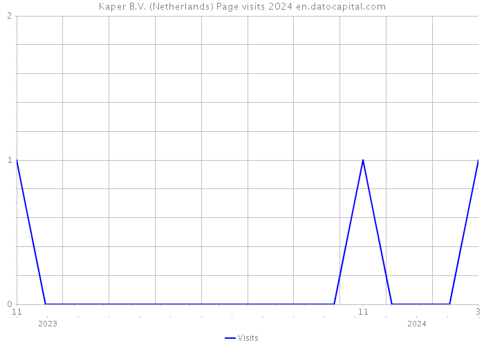 Kaper B.V. (Netherlands) Page visits 2024 