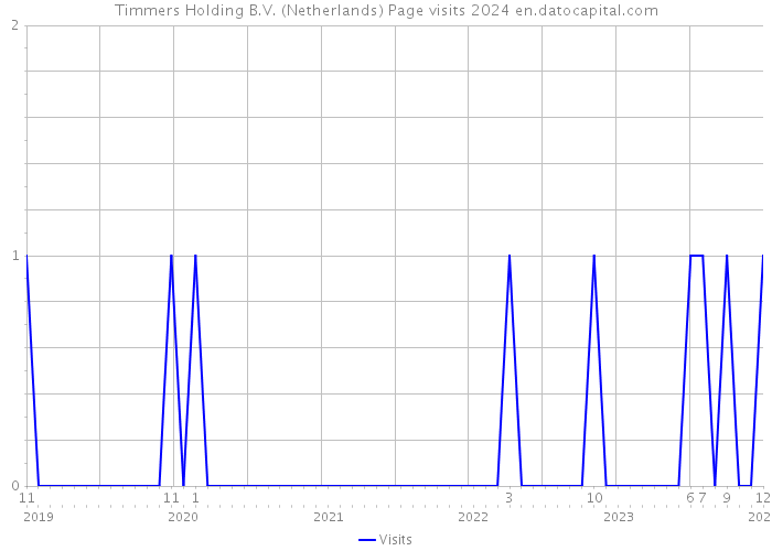 Timmers Holding B.V. (Netherlands) Page visits 2024 