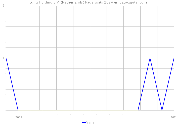 Lung Holding B.V. (Netherlands) Page visits 2024 