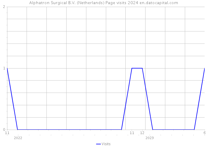 Alphatron Surgical B.V. (Netherlands) Page visits 2024 