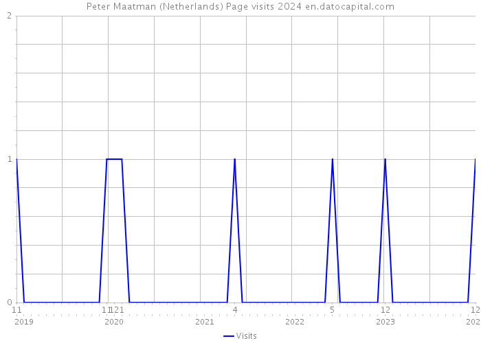 Peter Maatman (Netherlands) Page visits 2024 
