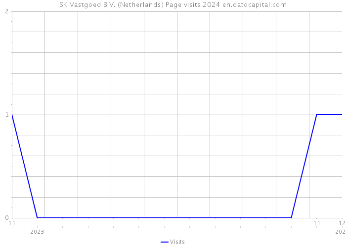 SK Vastgoed B.V. (Netherlands) Page visits 2024 