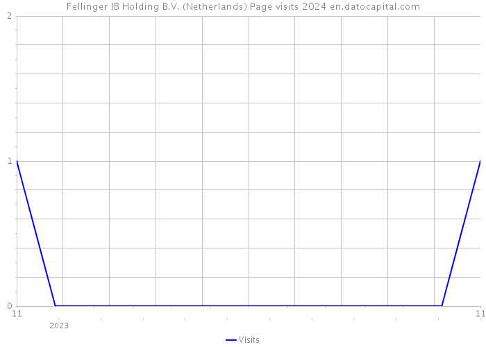 Fellinger IB Holding B.V. (Netherlands) Page visits 2024 