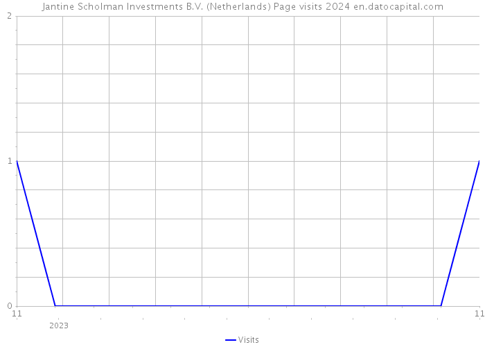 Jantine Scholman Investments B.V. (Netherlands) Page visits 2024 