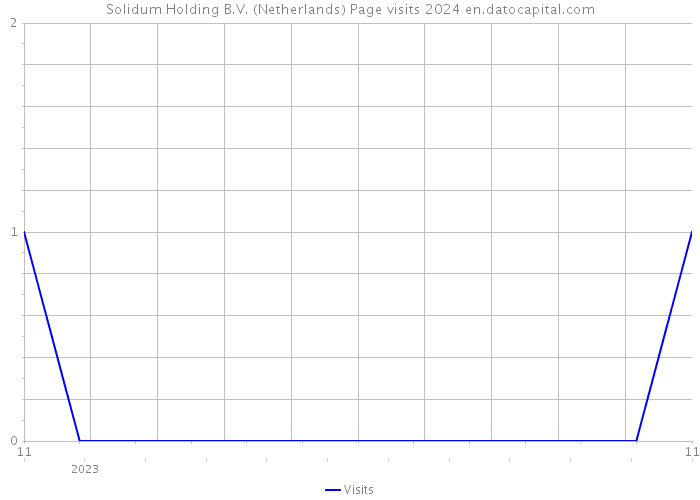 Solidum Holding B.V. (Netherlands) Page visits 2024 