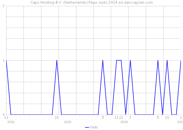 Caps Holding B.V. (Netherlands) Page visits 2024 