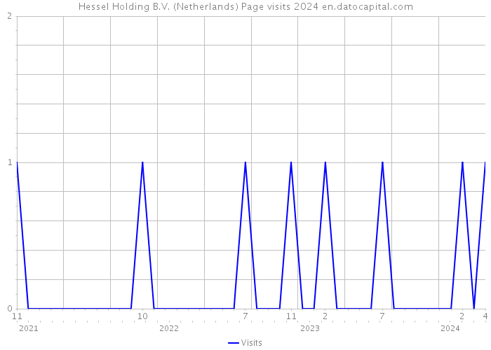 Hessel Holding B.V. (Netherlands) Page visits 2024 