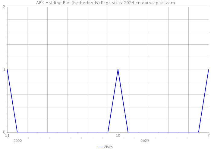 AFK Holding B.V. (Netherlands) Page visits 2024 