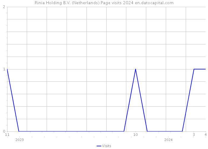 Rinia Holding B.V. (Netherlands) Page visits 2024 