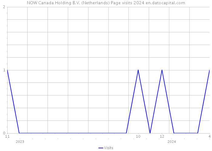 NOW Canada Holding B.V. (Netherlands) Page visits 2024 