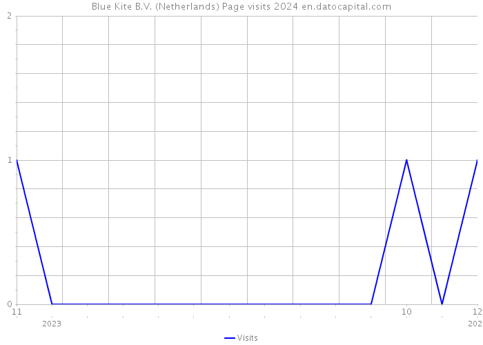 Blue Kite B.V. (Netherlands) Page visits 2024 