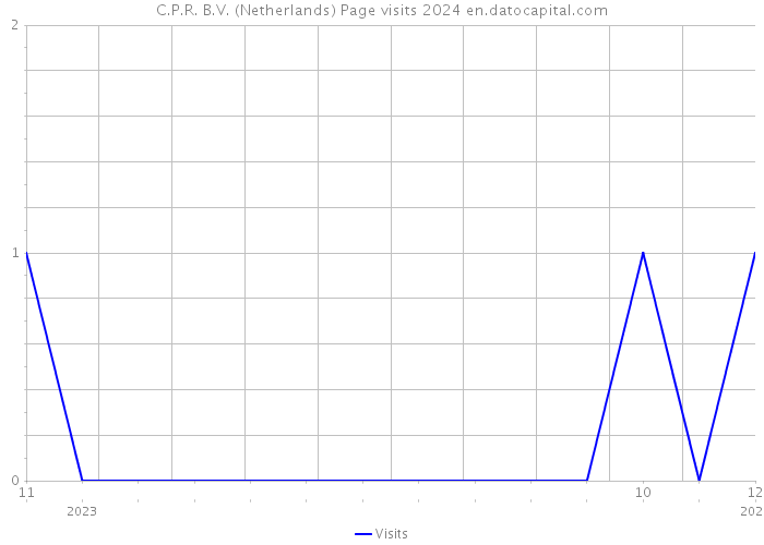 C.P.R. B.V. (Netherlands) Page visits 2024 