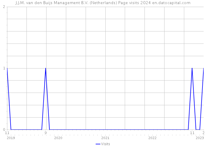 J.J.M. van den Buijs Management B.V. (Netherlands) Page visits 2024 
