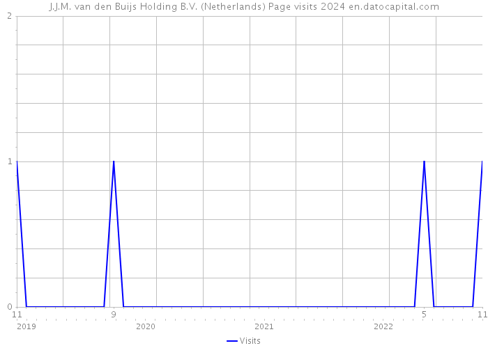 J.J.M. van den Buijs Holding B.V. (Netherlands) Page visits 2024 
