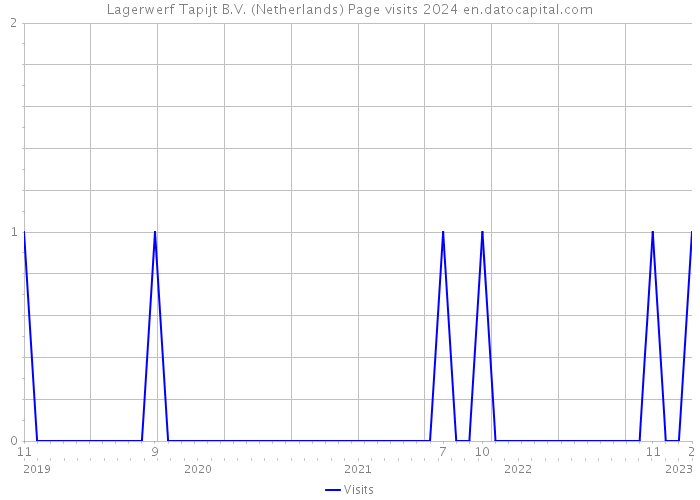 Lagerwerf Tapijt B.V. (Netherlands) Page visits 2024 
