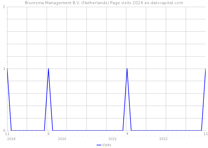 Bruinsma Management B.V. (Netherlands) Page visits 2024 