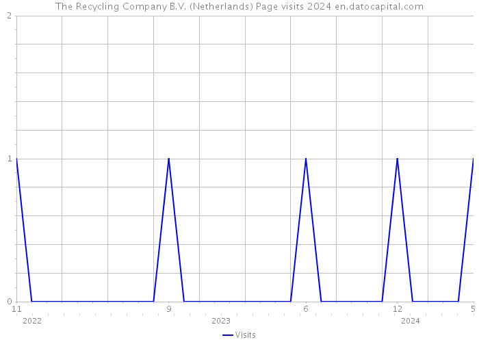 The Recycling Company B.V. (Netherlands) Page visits 2024 