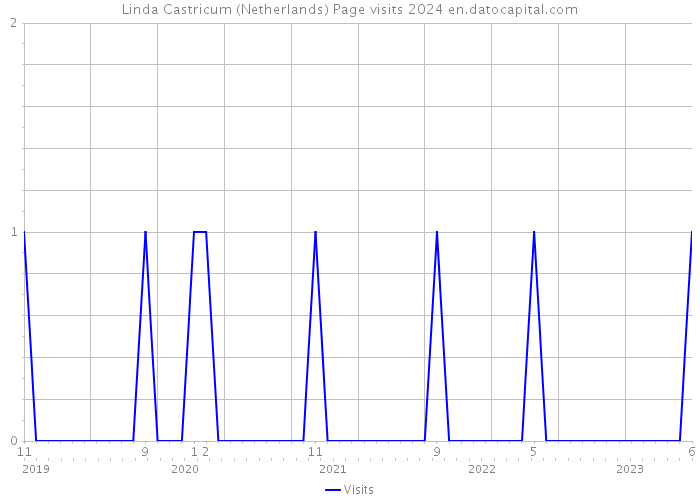 Linda Castricum (Netherlands) Page visits 2024 