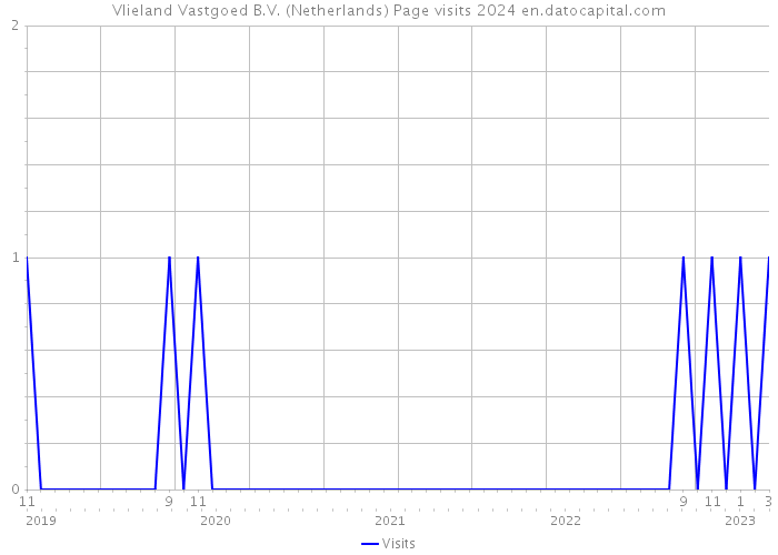 Vlieland Vastgoed B.V. (Netherlands) Page visits 2024 