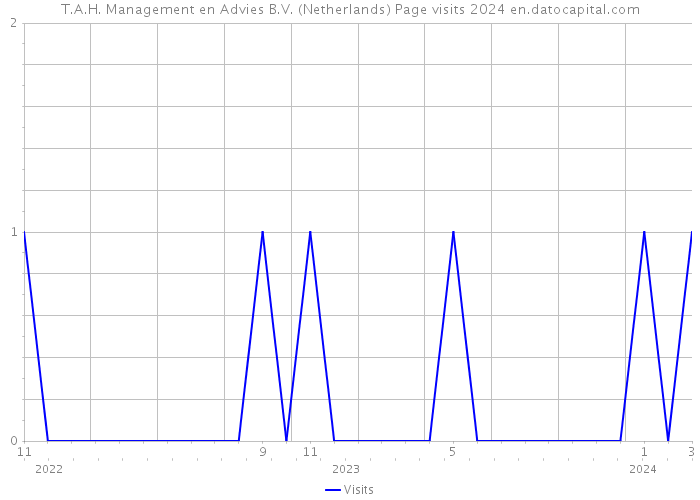T.A.H. Management en Advies B.V. (Netherlands) Page visits 2024 