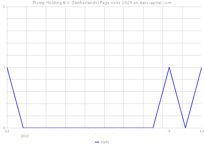 Plomp Holding B.V. (Netherlands) Page visits 2024 