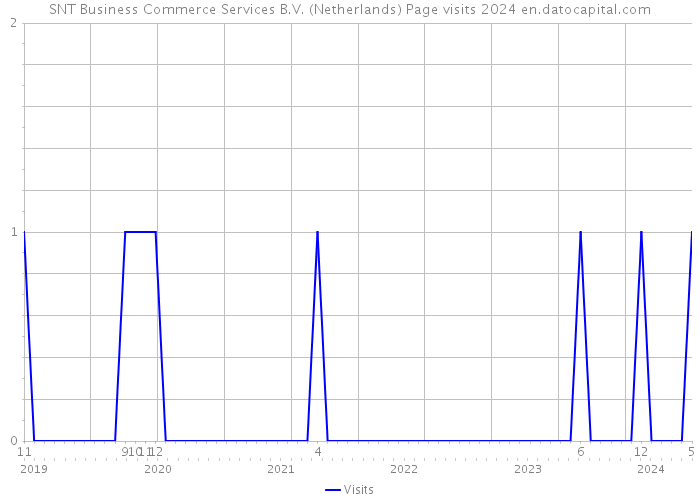 SNT Business Commerce Services B.V. (Netherlands) Page visits 2024 
