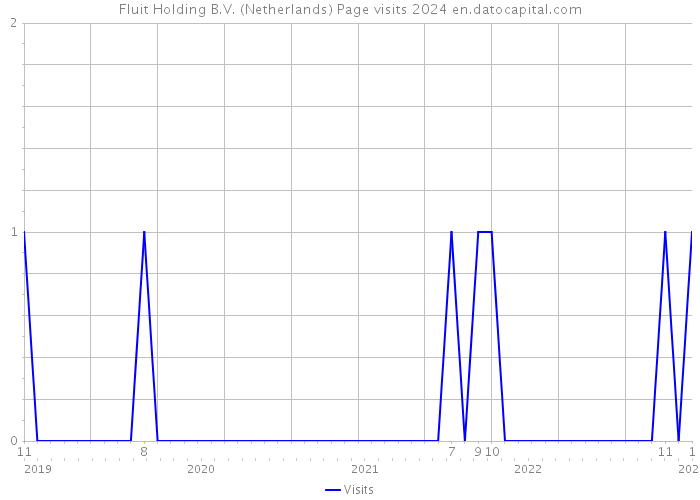 Fluit Holding B.V. (Netherlands) Page visits 2024 