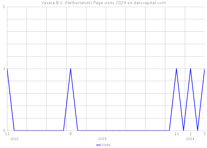Vasara B.V. (Netherlands) Page visits 2024 