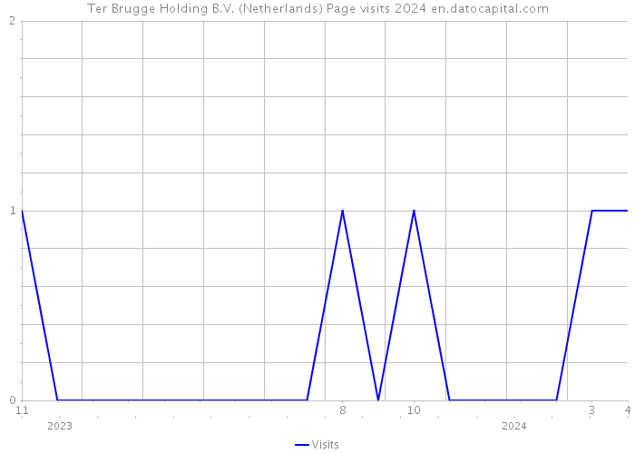 Ter Brugge Holding B.V. (Netherlands) Page visits 2024 