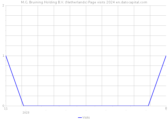 M.G. Bruining Holding B.V. (Netherlands) Page visits 2024 