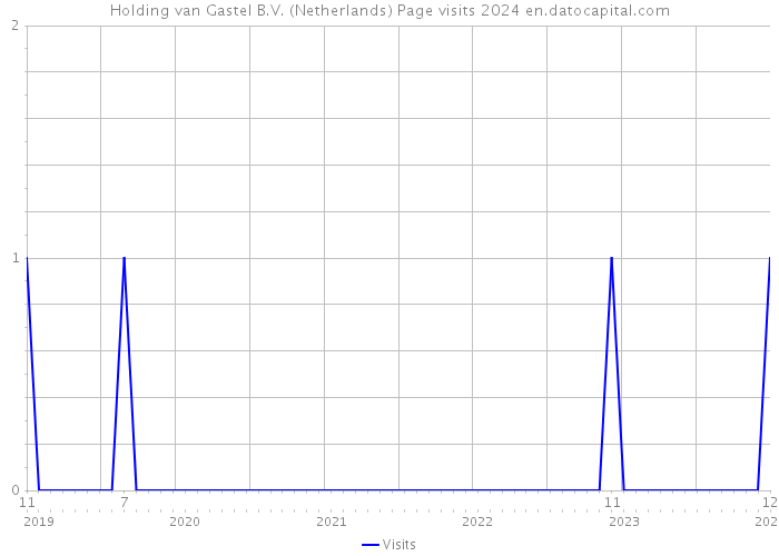 Holding van Gastel B.V. (Netherlands) Page visits 2024 