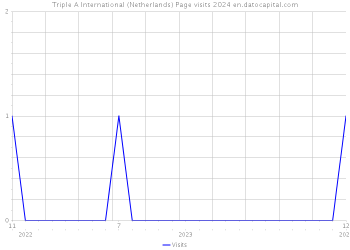 Triple A International (Netherlands) Page visits 2024 