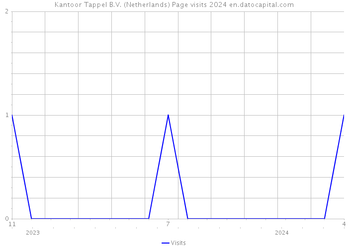 Kantoor Tappel B.V. (Netherlands) Page visits 2024 