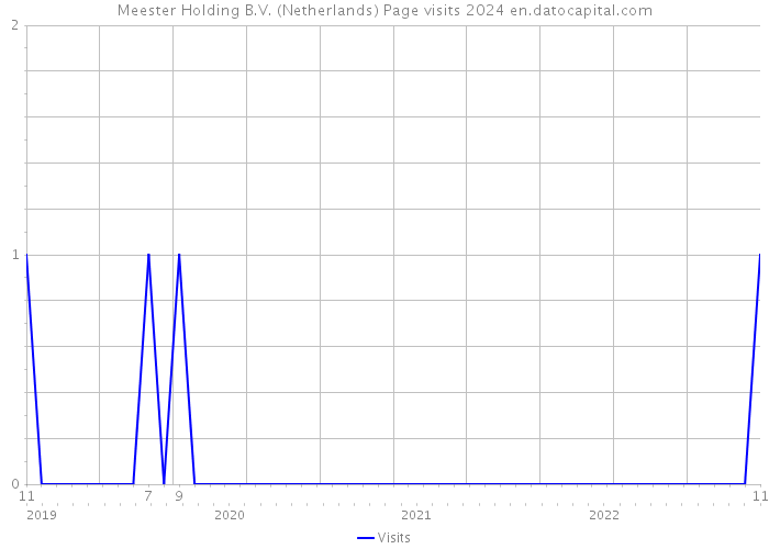 Meester Holding B.V. (Netherlands) Page visits 2024 